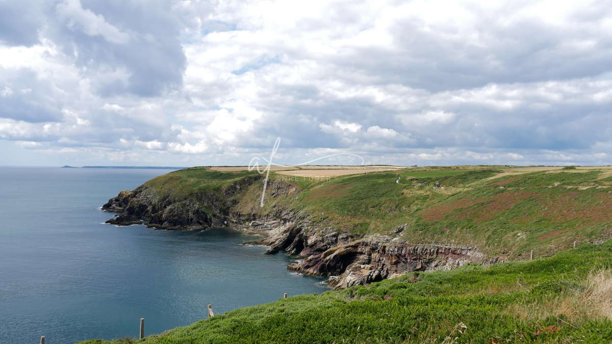 Southcoast Ireland