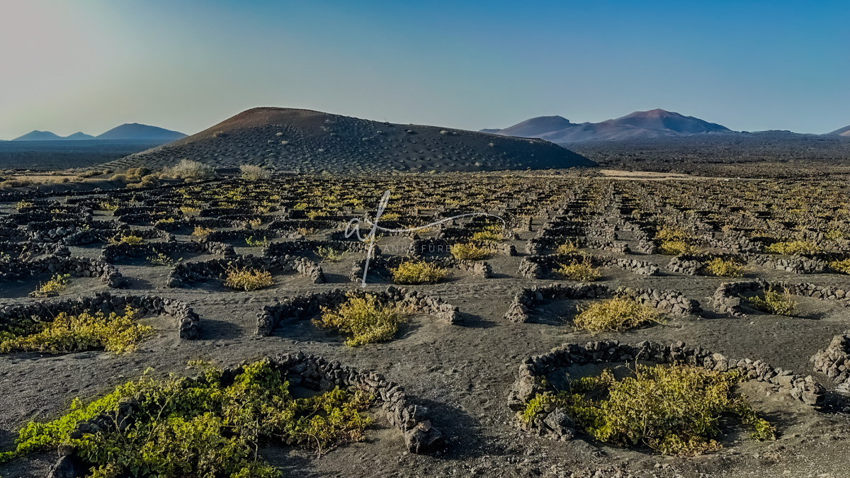 Lanzarote